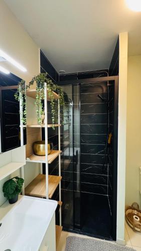une salle de bain avec une douche avec une porte vitrée dans l'établissement la Baldi, Limoges, à Limoges