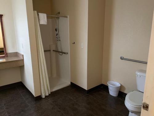 a bathroom with a toilet and a shower at Williamsport Grandview Hotel in Linden