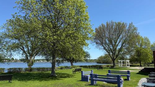 a group of park benches in front of a lake at Lakeside Inn in Wakefield