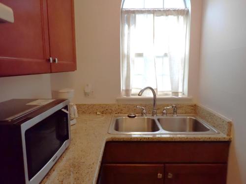 eine Küche mit Spüle und Mikrowelle in der Unterkunft Executive Suite Central Wilmington in Wilmington