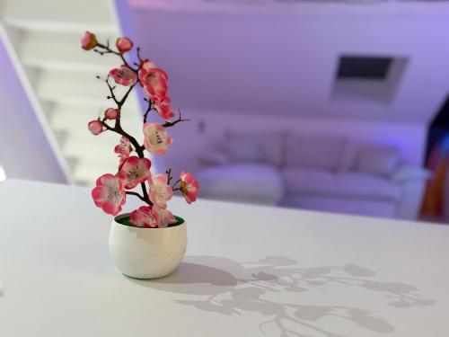 Fotografie z fotogalerie ubytování Capsule - Lumina v destinaci Douai