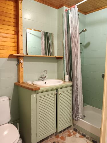 une salle de bain avec un lavabo, des toilettes et une douche dans l'établissement Le grand gîte de L'Entrelà, à Dunières-sur-Eyrieux