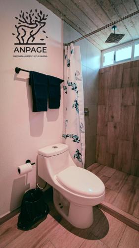 a bathroom with a toilet and a shower at Cabin-style apartment - Anpage in Puente de las Cuevas