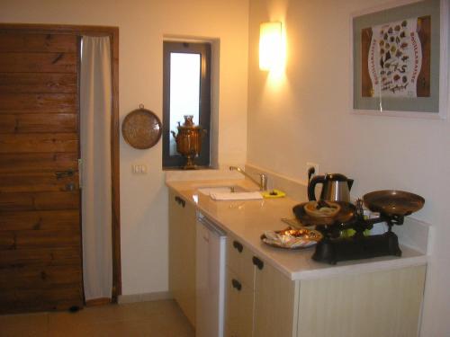 eine Küche mit einer Spüle und einer Arbeitsplatte in der Unterkunft Shulamit Yard in Rosch Pina