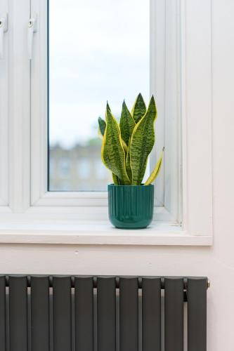 Gambar di galeri bagi Stylish and Spacious Peckham Flat di London