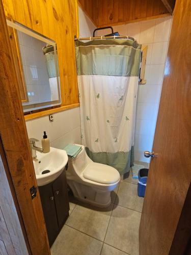a small bathroom with a toilet and a sink at Casa Parcela, Bosques de Frutillar in Frutillar