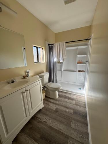 a bathroom with a toilet and a sink and a shower at Apache Motel in Ruidoso