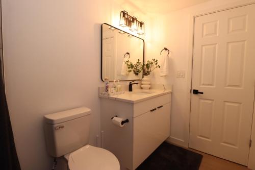 a bathroom with a toilet and a sink and a mirror at 2 bedrooms near Downtown, Airport, stadiums, light rail in Seattle