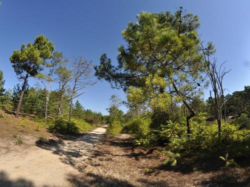 Photo de la galerie de l'établissement Maison tout confort avec piscine privée, proche plage et forêt - Saint Jean de Monts - FR-1-323-471, à Saint-Jean-de-Monts