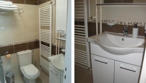 two pictures of a bathroom with a toilet and a sink at Apartment Alex in Plitvička Jezera