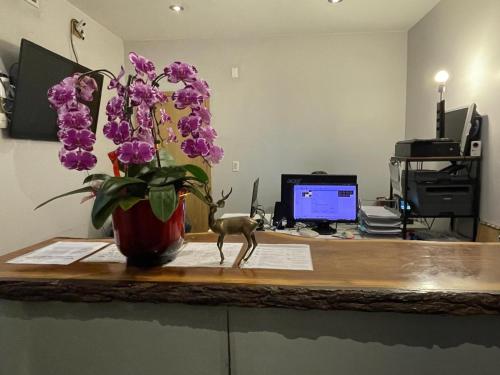a desk with a vase of purple flowers and a vase at Dragon Gate Inn in Toronto