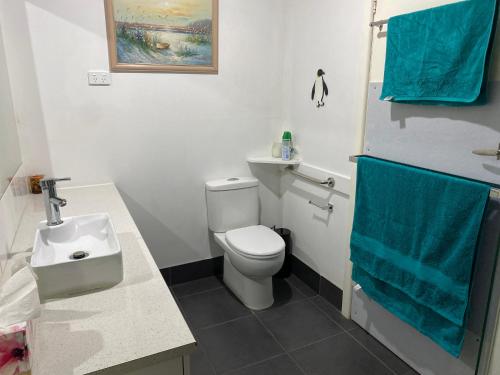 a bathroom with a white toilet and a sink at Holbrook Haven - Bed and Breakfast in Holbrook