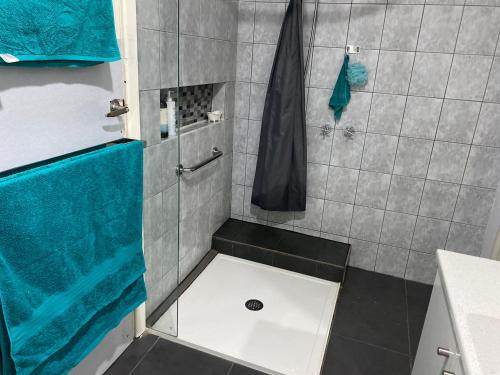 a bathroom with a shower with a blue shower curtain at Holbrook Haven - Bed and Breakfast in Holbrook