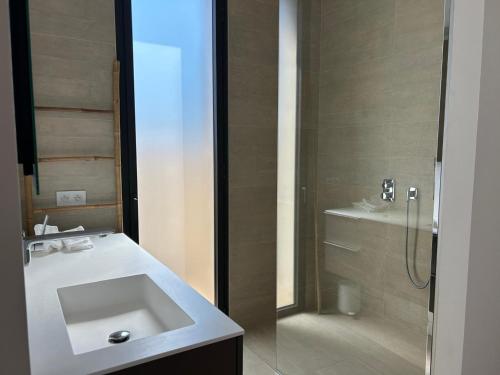 une salle de bain avec un lavabo et une douche dans l'établissement Villa contemporaine avec piscine proche centre de Saint-Rémy-de-Provence - FR-1-599-43, à Saint-Rémy-de-Provence