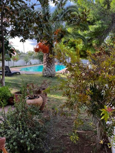 a garden with a pool and trees and plants at Silver Apartment with Swimming Pool in Rafina