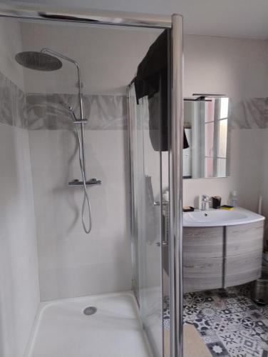 une salle de bain avec douche et lavabo dans l'établissement APPARTEMENT COMPLET 
