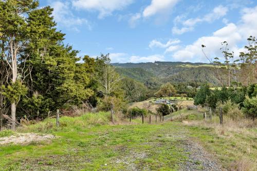 a dirt road in a field with trees at Tui Cottage - Waipu Holiday Retreat in Waipu