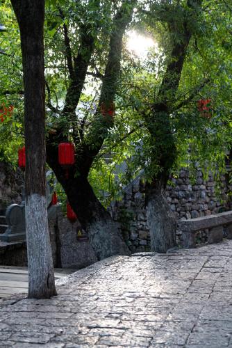 Un jardín fuera de Jun Bo Xuan Boutique Hotel