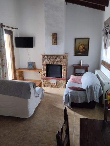 a living room with two beds and a fireplace at Elatodasos in Taxiarchis