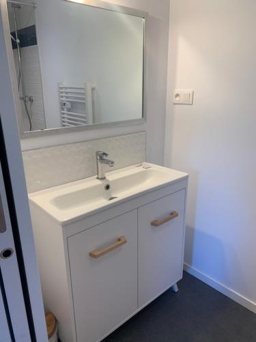 une salle de bain avec un lavabo blanc et un miroir dans l'établissement Parc ar Brun Bihan, à Minihy-Tréguier