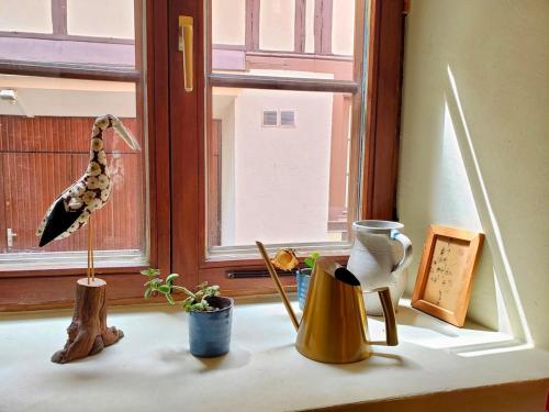 un rebord de fenêtre avec des plantes et des vases sur lui dans l'établissement Ecologement cosy au centre de Strasbourg, à Strasbourg