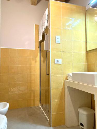 a bathroom with a shower and a sink at Agriturismo Riondel in Affi