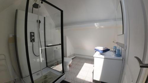 une salle de bain avec une douche en verre et des toilettes dans l'établissement Duplex à la campagne à Mastaing, à Mastaing