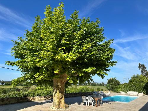 a tree with tables and chairs next to a pool at Ancien Château viticole in Bourg-sur-Gironde