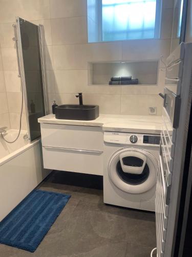 une salle de bain avec un lavabo et une machine à laver dans l'établissement Loft T3, à Belfort