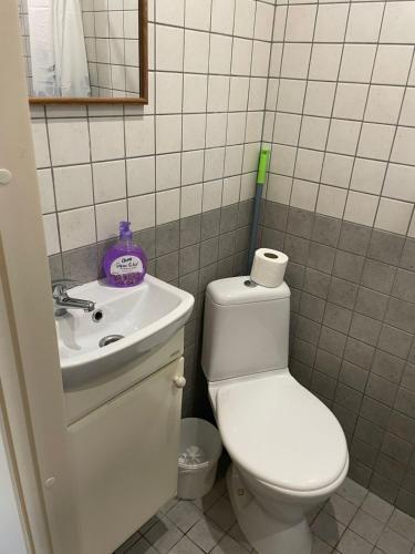 a bathroom with a toilet and a sink at Kopli Apartment in Tallinn