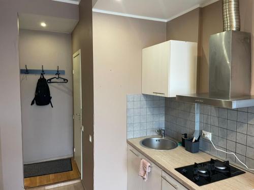 a small kitchen with a sink and a stove at Kopli Apartment in Tallinn