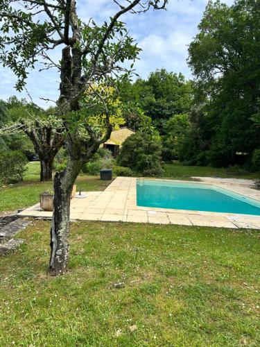 un arbre dans l'herbe à côté d'une piscine dans l'établissement Maison en pierre Les Chardonnerets avec piscine, à Beynac-et-Cazenac