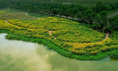 an aerial view of a river with palm trees at Leng - Duplex Onsen Swanlake Ecopark in Kim Quan