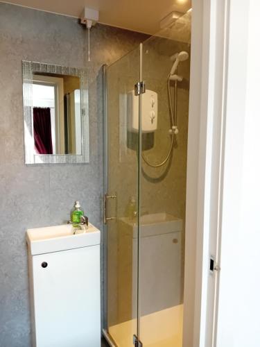 a bathroom with a shower with a sink and a mirror at Owl's cottage in Whitby