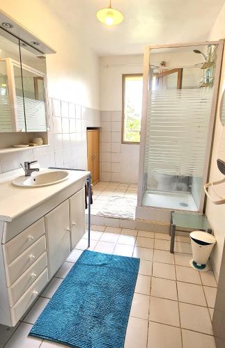 une salle de bain avec un lavabo, une douche et une baignoire dans l'établissement Maison provençale au milieu des champs, à Robion
