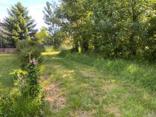a path in a field with trees and grass at Gîte du moulin de la motte in Ambleville