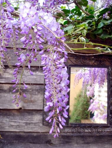 Κήπος έξω από το Gite Au Jardin