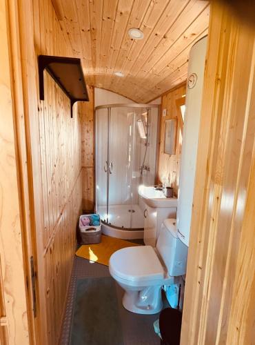 a small bathroom with a toilet and a sink at La Roulotte du Moulin de Thimougies in Tournai
