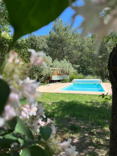- une piscine dans une cour ornée de fleurs roses dans l'établissement Marguerite a la campagne, à Agel