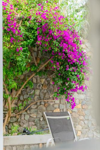 Gallery image of Villa Acacia in Ponza