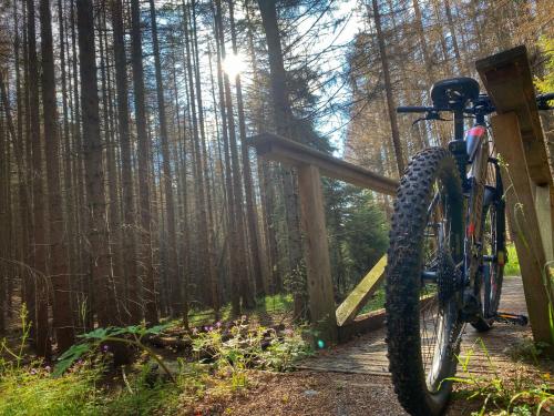 a bike parked on a wooden trail in the woods at Zauberhafte Ferienwohnung mit Wellness-Bad in Bad Harzburg