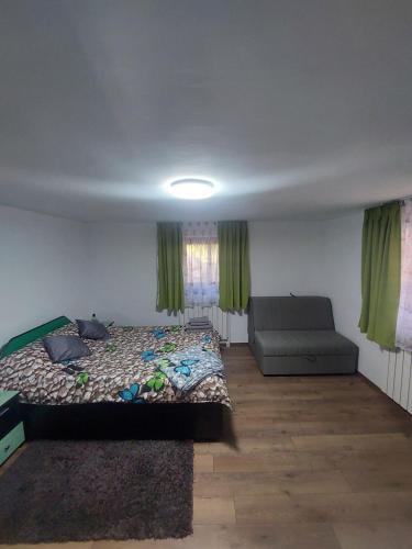 a bedroom with a bed and a couch at Casa de vacanță Mira in Cîmpu lui Neag