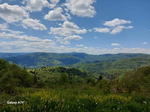 a view of a valley with mountains and trees at Legat tri brata in Vionica