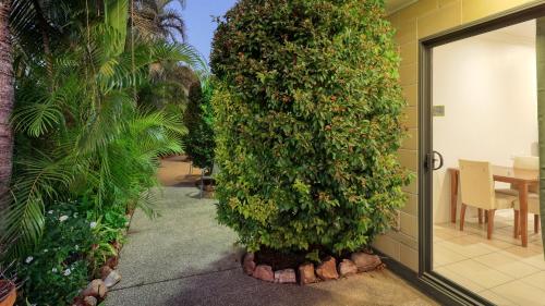 a large green plant growing on the side of a building at Emerald Gardens Motel & Apartments in Emerald