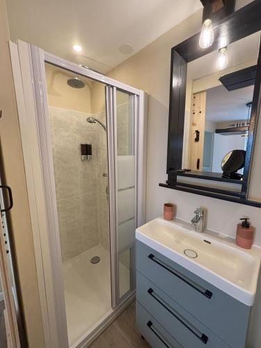 a bathroom with a shower and a sink and a mirror at Aux 12 instants, Imagine in Lédergues