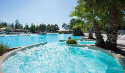 une grande piscine avec de l'eau bleue et des palmiers dans l'établissement MOBIL HOME dans Camping VIAS PLAGE, à Vias