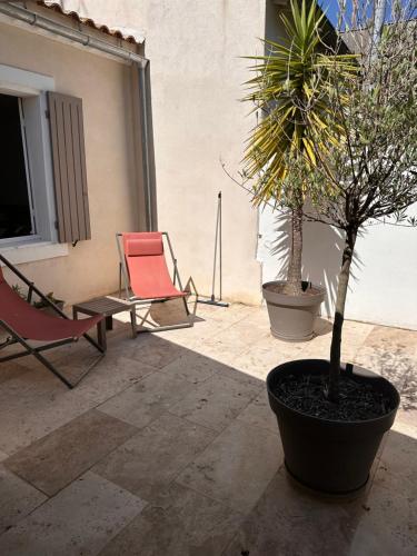 une terrasse avec une chaise et un palmier dans l'établissement Bel Appartement Terrasse 4 Étoiles Intra Muros, à Aigues-Mortes