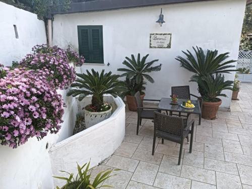 Gallery image of RELAX MARGHERITA in Colli di Fontanelle