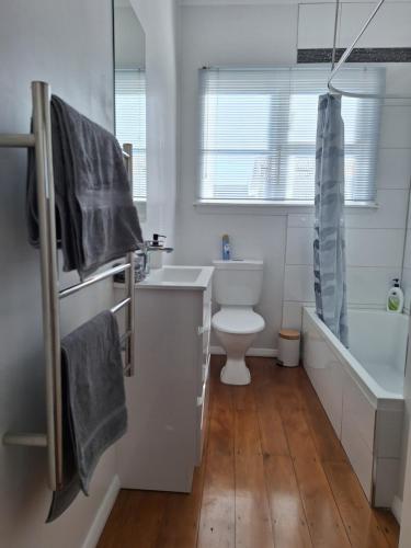 a bathroom with a toilet and a tub and a sink at Oxford Retreat in Martinborough 