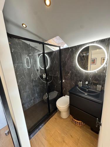 une salle de bain avec toilettes, lavabo et miroir dans l'établissement Studio Cannes, near Croisette, à Cannes